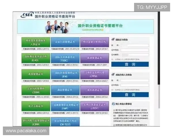 在PA厅官网进行个人信息查询与业务办理,节省宝贵时间快速完成申请 在PA厅官网进行个人信息查询与业务办理,节省宝贵时间快速完成申请