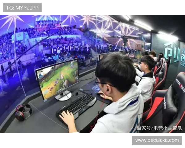 浅谈PA电子竞技对年轻人文化的影响与引导 浅谈PA电子竞技对年轻人文化的影响与引导